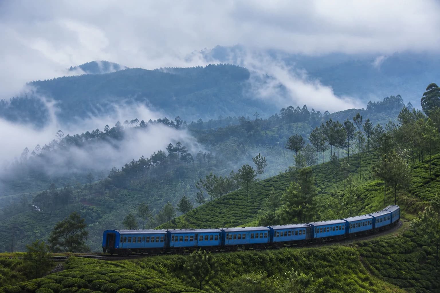 Across the Tea Country