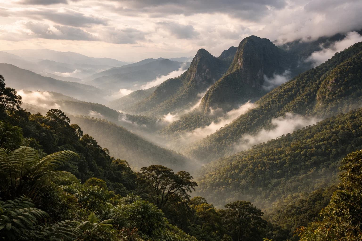 Knuckles Range — Kandy