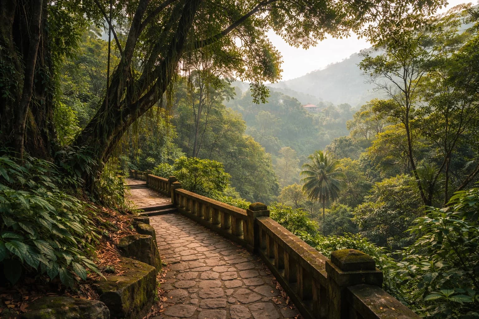 Udawattakele Forest Reserve — Kandy
