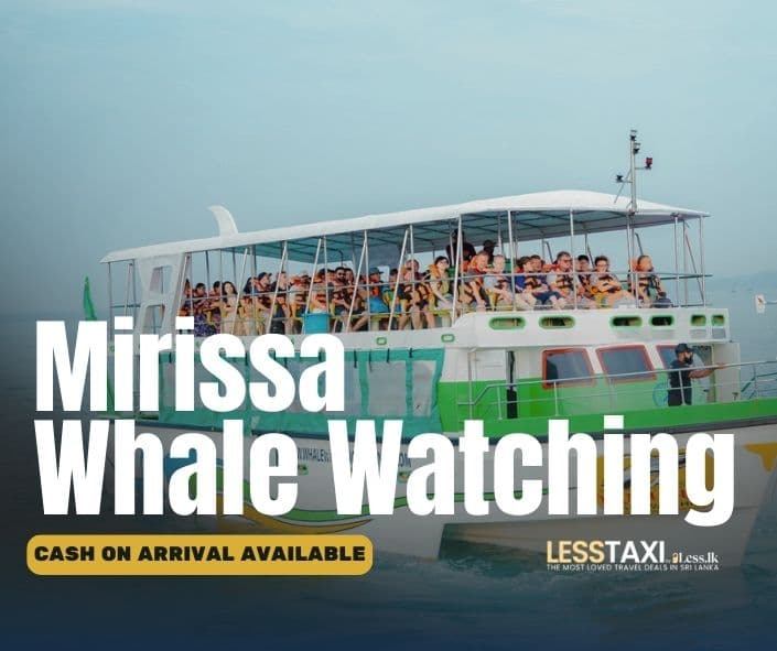 Whales & Waves Mirissa, Sri Lanka — luxury destination