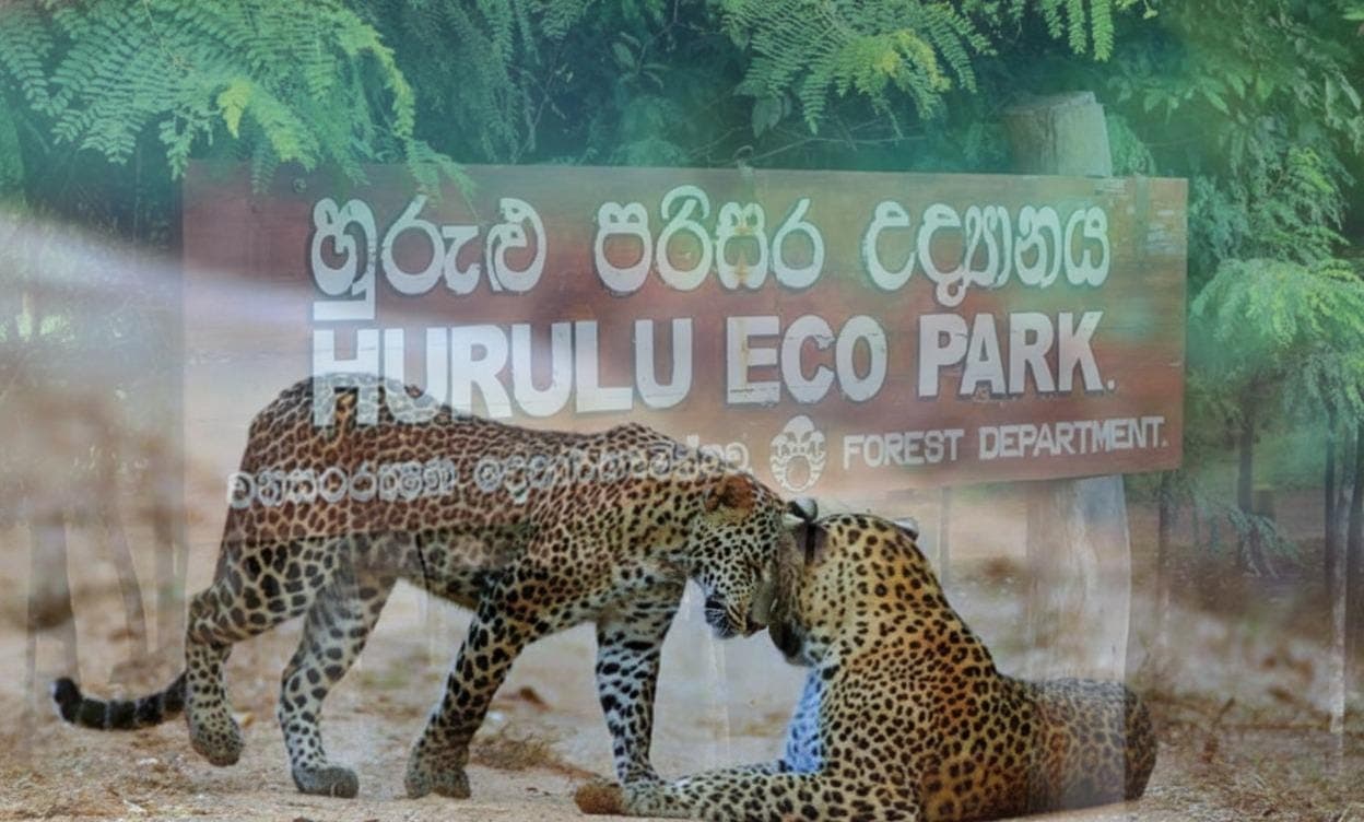 Hurulu Eco Park Safari, Sri Lanka — luxury destination