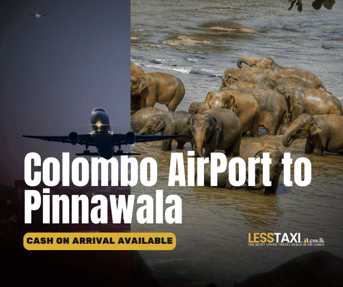 Colombo Airport To Pinnawala