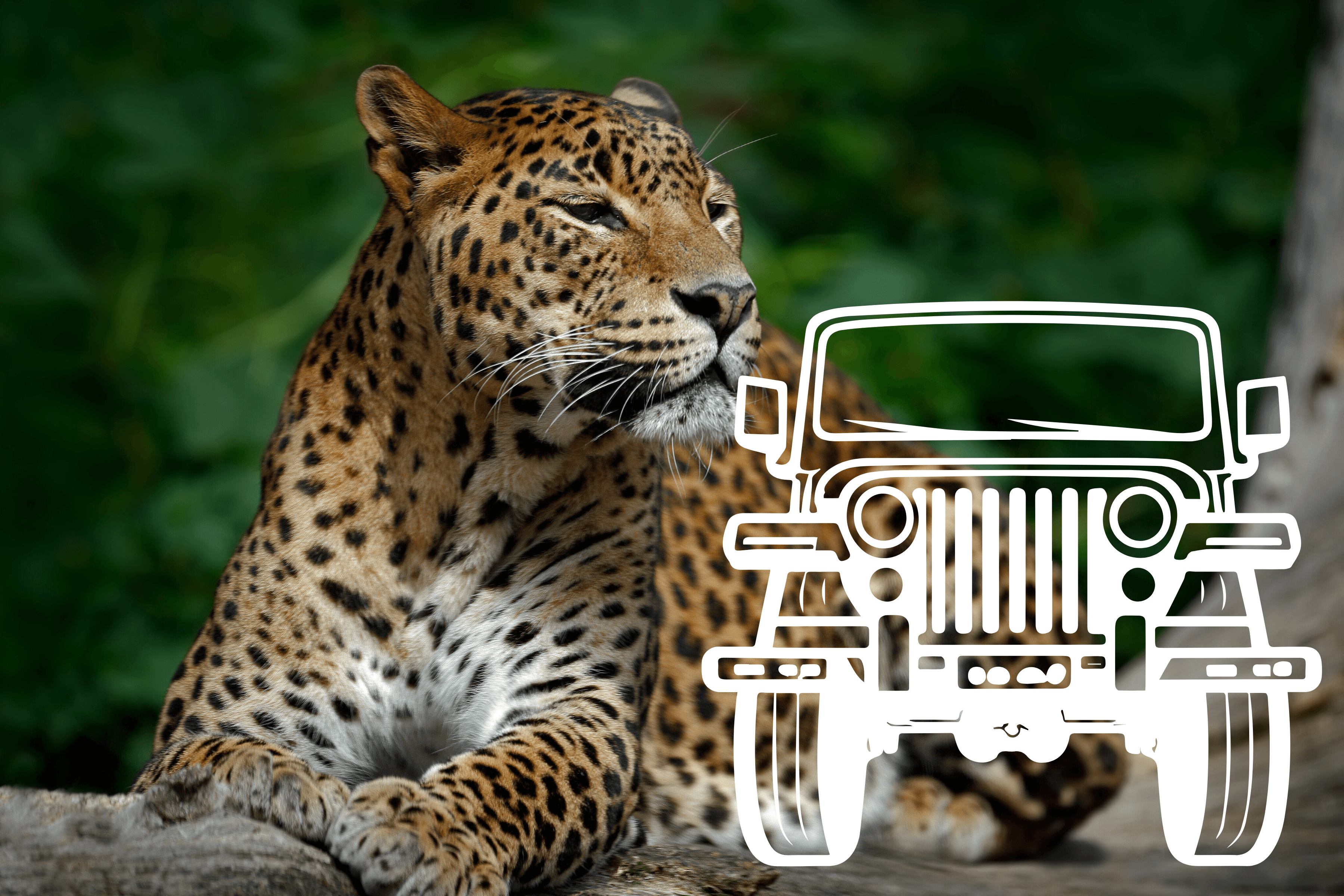 Yala National Park Morning Extended Safari Adventure, Sri Lanka — luxury destination