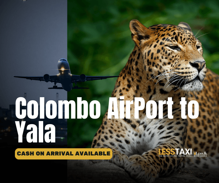 Colombo Airport to Yala